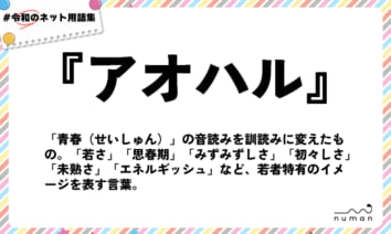 numan用語集「アオハル」