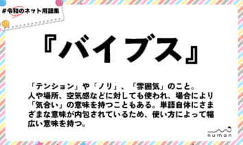 numan用語集「バイブス」