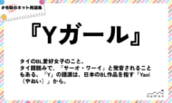 numan用語集「Yガール」