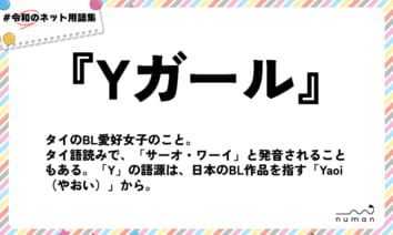 numan用語集「Yガール」