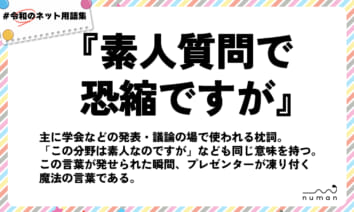 numan用語集「素人質問で恐縮ですが」