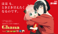 ビジュアル-01