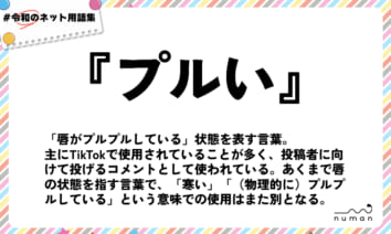 numan用語集「プルい」