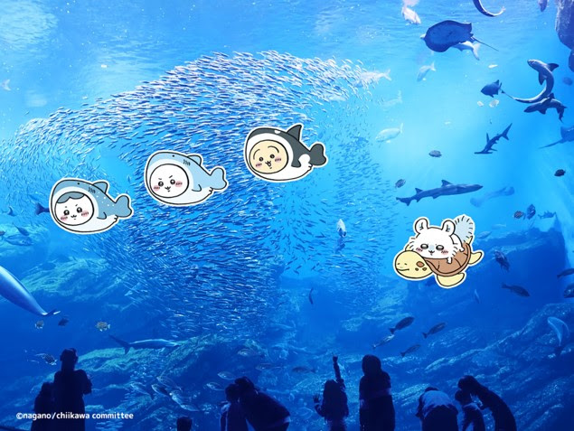 「ちいかわ水族館」コラボレーション水槽