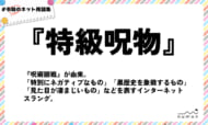 numan用語集「特級呪物」