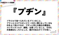 numan用語集「プヂン」