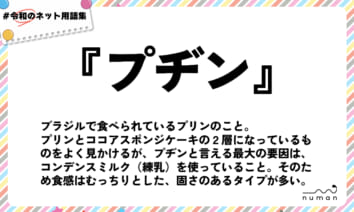 numan用語集「プヂン」