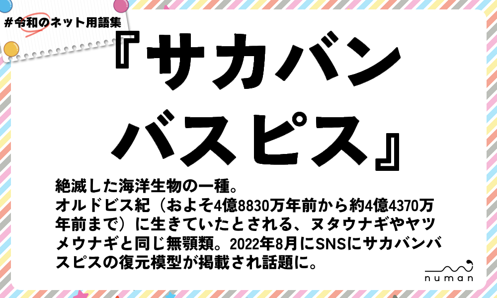 numan用語集「サカバンバスピス」