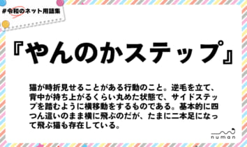 numan用語集「やんのかステップ」