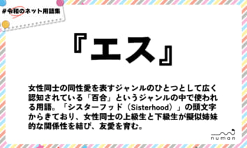 numan用語集「エス」