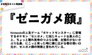 numan用語集「ゼニガメ顔」