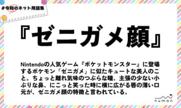 numan用語集「ゼニガメ顔」