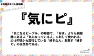 numan用語集「気にピ」