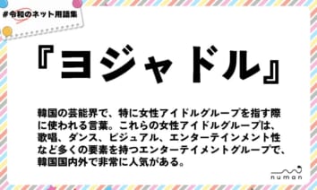 numan用語集「ヨジャドル」
