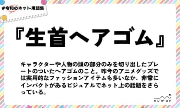 numan用語集「生首ヘアゴム」