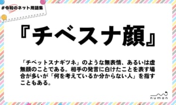 numan用語集「チベスナ顔」