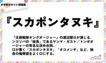 numan用語集「スカポンタヌキ」