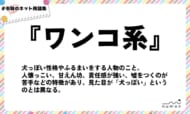 numan用語集「ワンコ系」