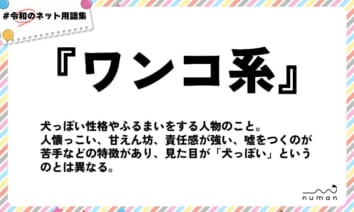 numan用語集「ワンコ系」