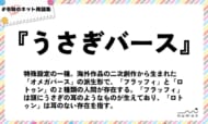うさぎバース