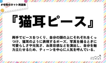 numan用語集「猫耳ピース」