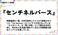 numan用語集「センチネルバース」