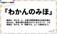 numan用語集「わかんのみほ」