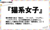 numan用語集「猫系女子」