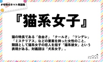 numan用語集「猫系女子」