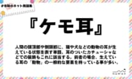 numan用語集「ケモ耳」
