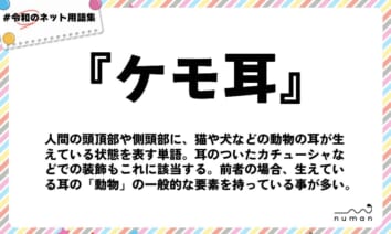 numan用語集「ケモ耳」