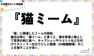 numan用語集「猫ミーム」