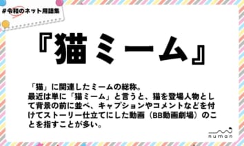 numan用語集「猫ミーム」
