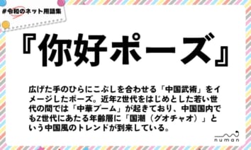 numan用語集「你好ポーズ」