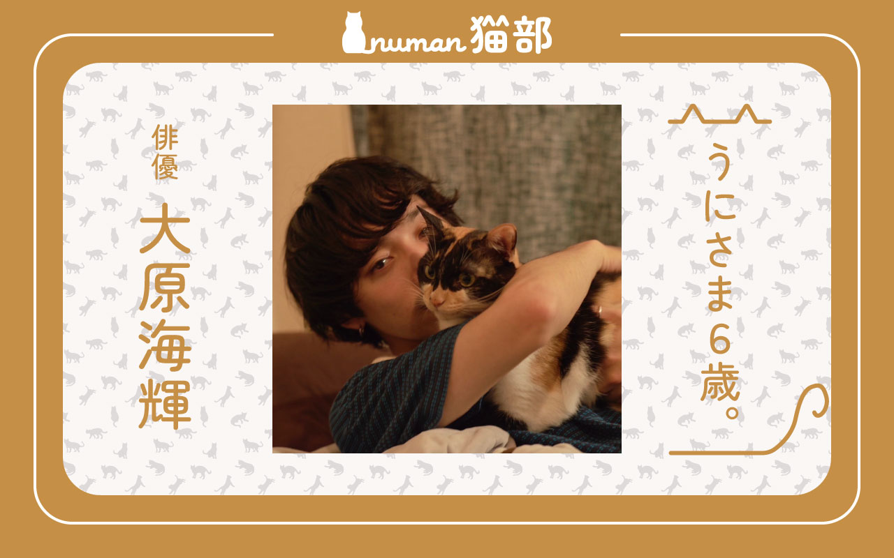 「numan猫部」大原海輝 アイキャッチ #1