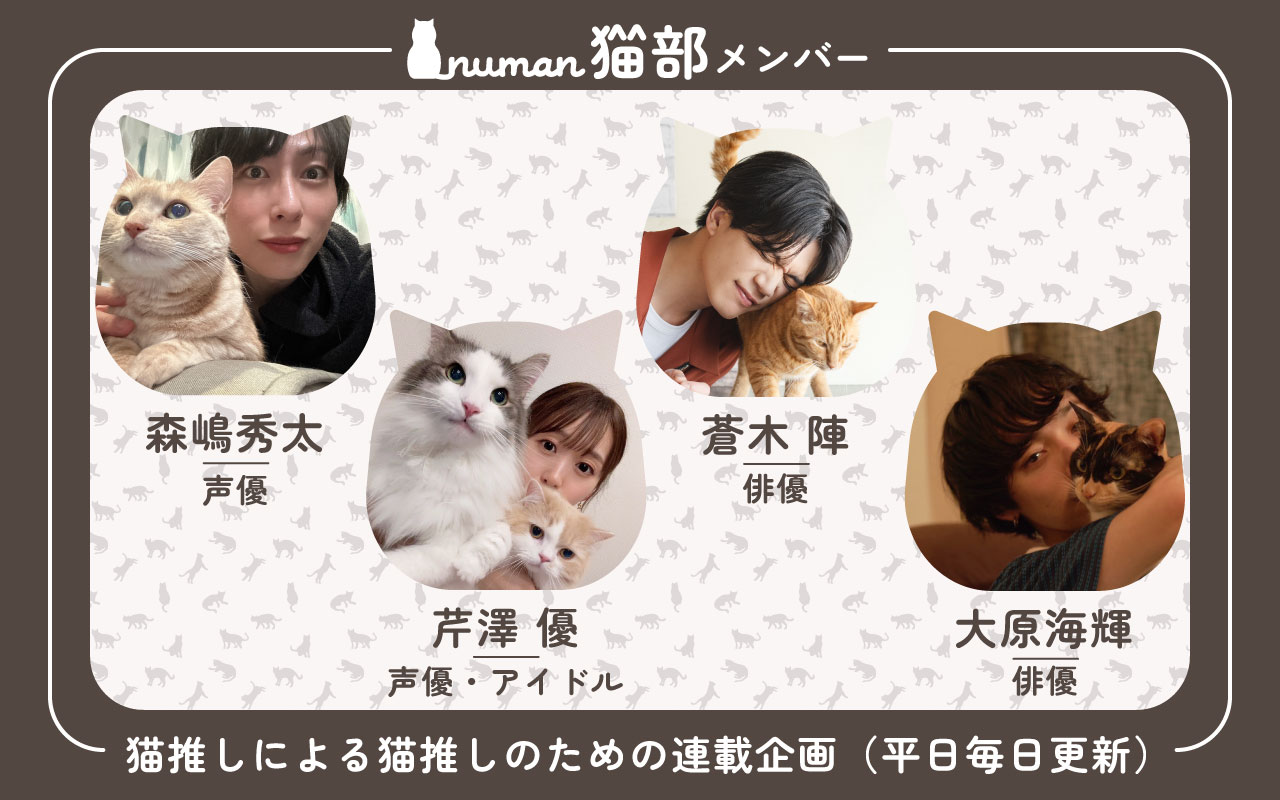 numan猫部リリース アイキャッチ