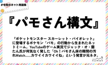 numan用語集「パモさん構文」