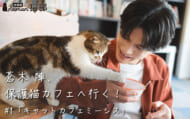 蒼木陣、保護猫カフェへ行く！ #1