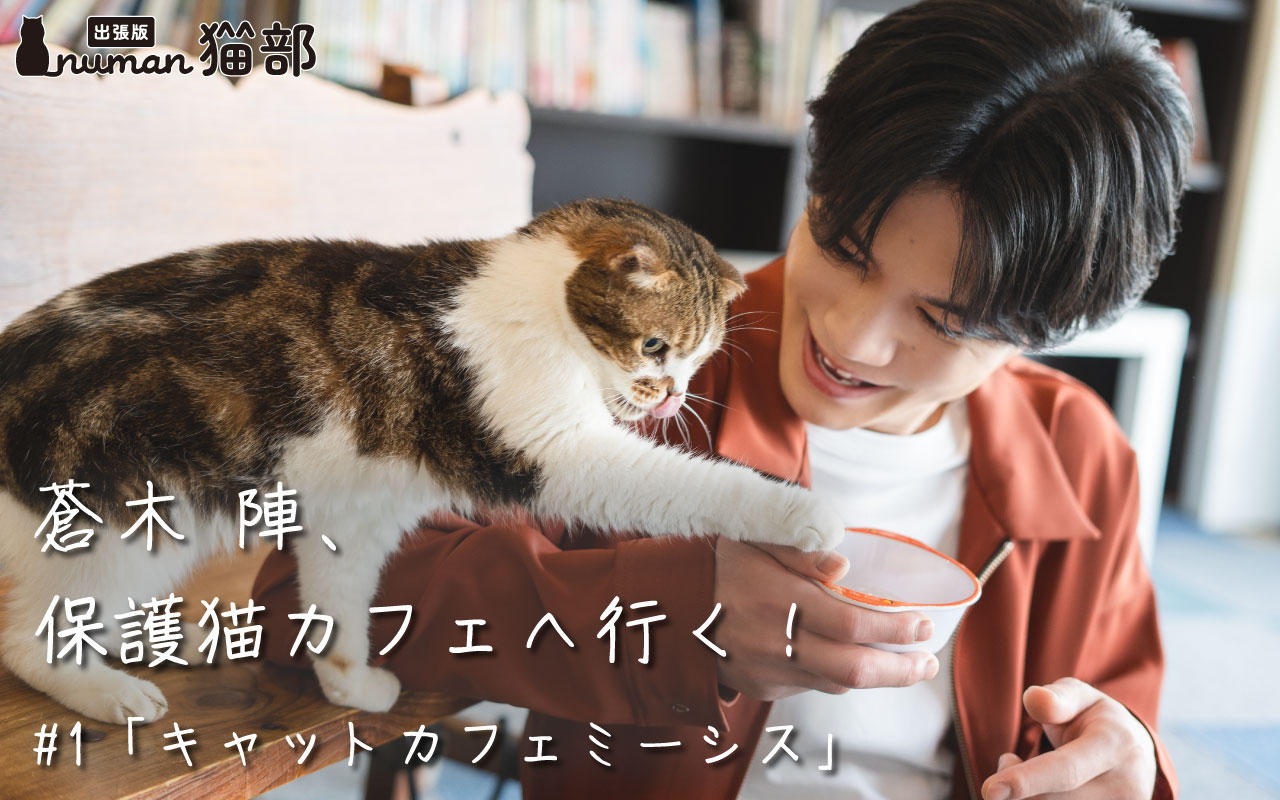 蒼木陣、保護猫カフェへ行く！ #1