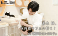 蒼木陣、保護猫カフェへ行く！＃2 アイキャッチ