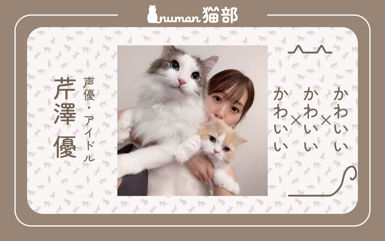 【numan猫部】芹澤優アイキャッチ