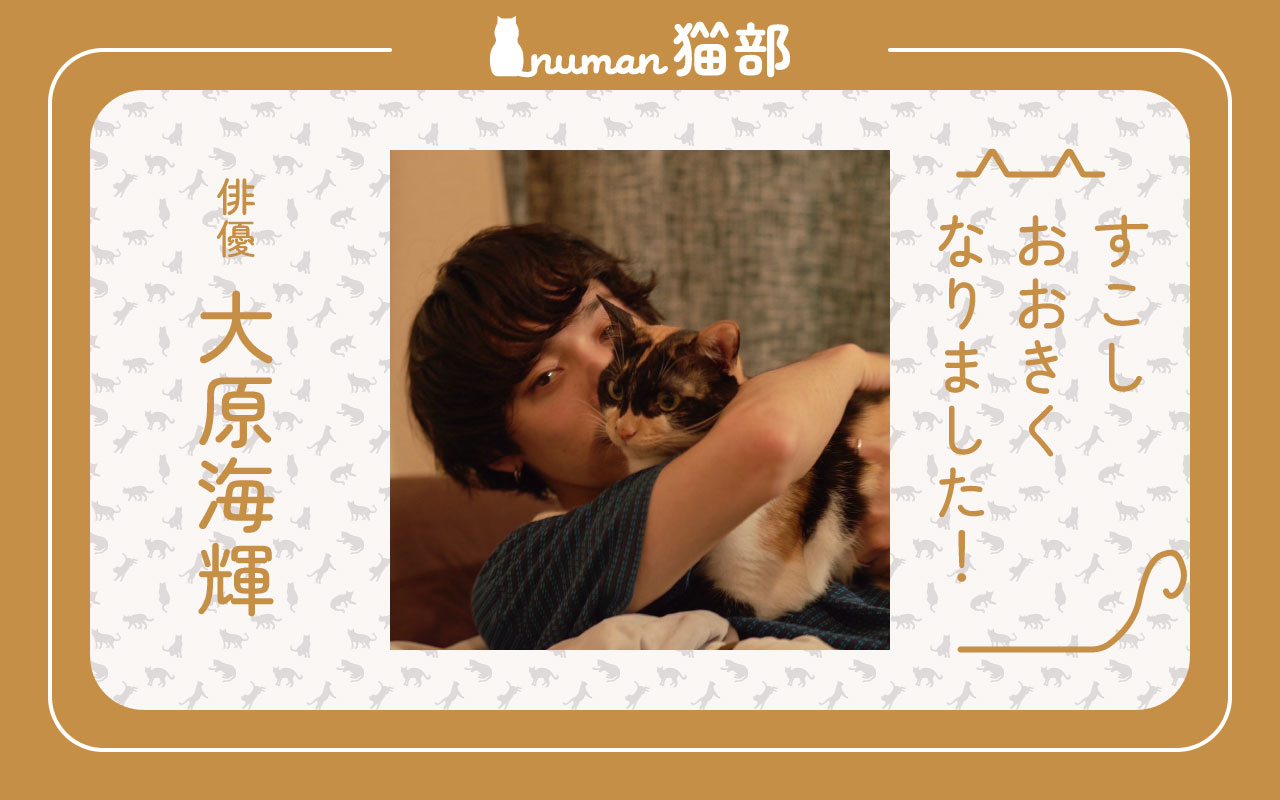 大原海輝 numan猫部 第3回目アイキャッチ