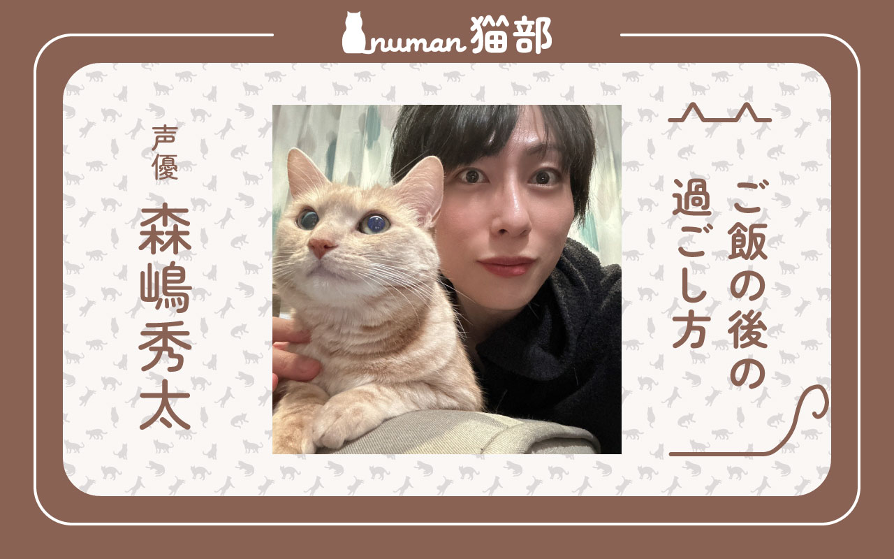 森嶋秀太_猫部41回